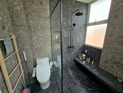 Serangoon Garden Estate (D19), Terrace #497841471